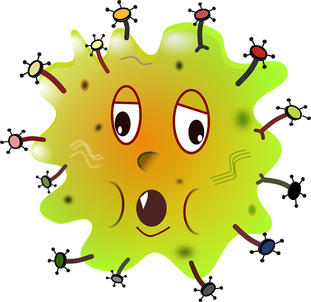 ** Prebiotyki vs. Probiotyki w pielęgnacji skóry: Co wybrać dla zdrowego mikrobiomu?