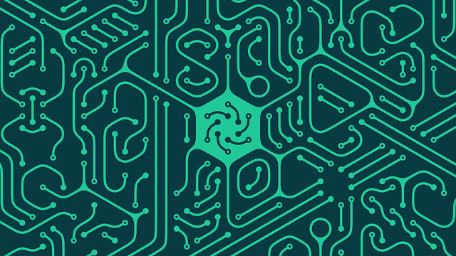Kryptowaluty i kawiarnie: Jak Bitcoin zmienia kulturę napiwków w wielkim mieście - 1 2025
